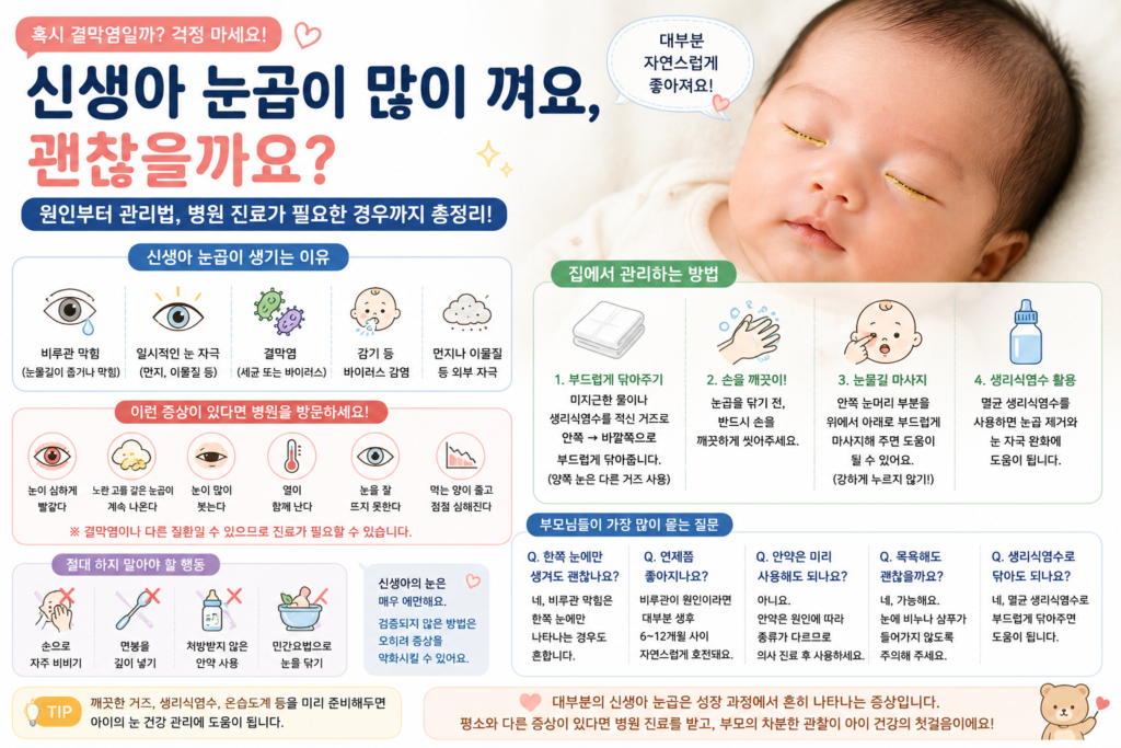 chatgpt image 2026년 7월 11일 오전 05 38 47