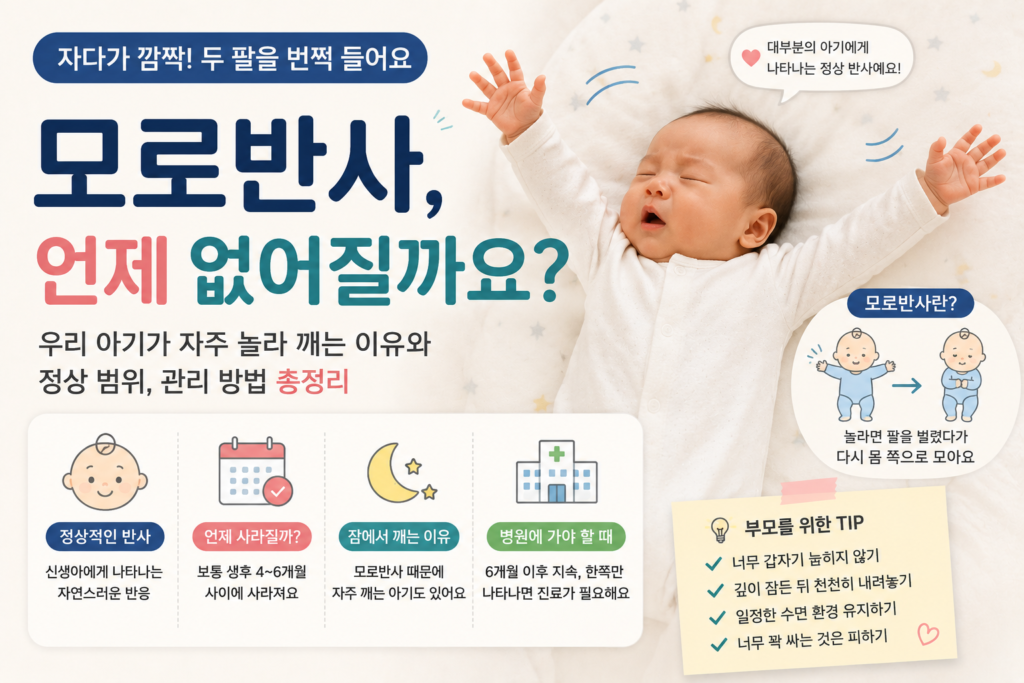 chatgpt image 2026년 7월 4일 오후 10 47 02