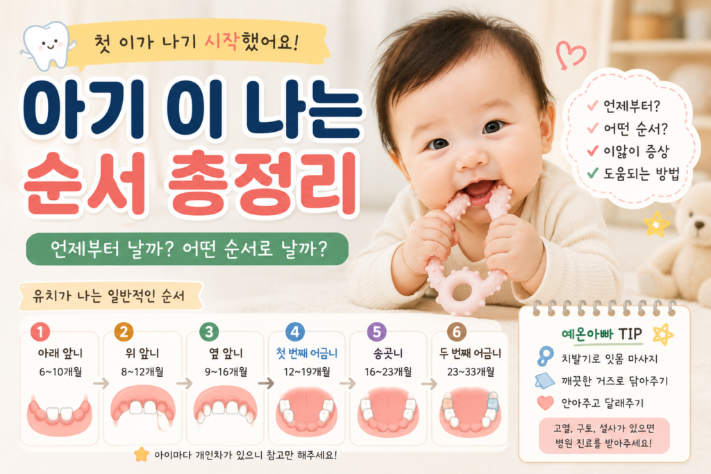 chatgpt image 2026년 7월 6일 오후 03 05 01
