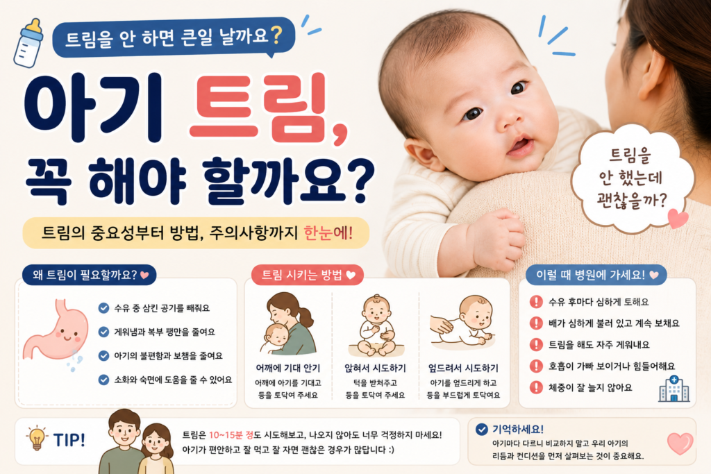 chatgpt image 2026년 7월 8일 오전 01 57 00