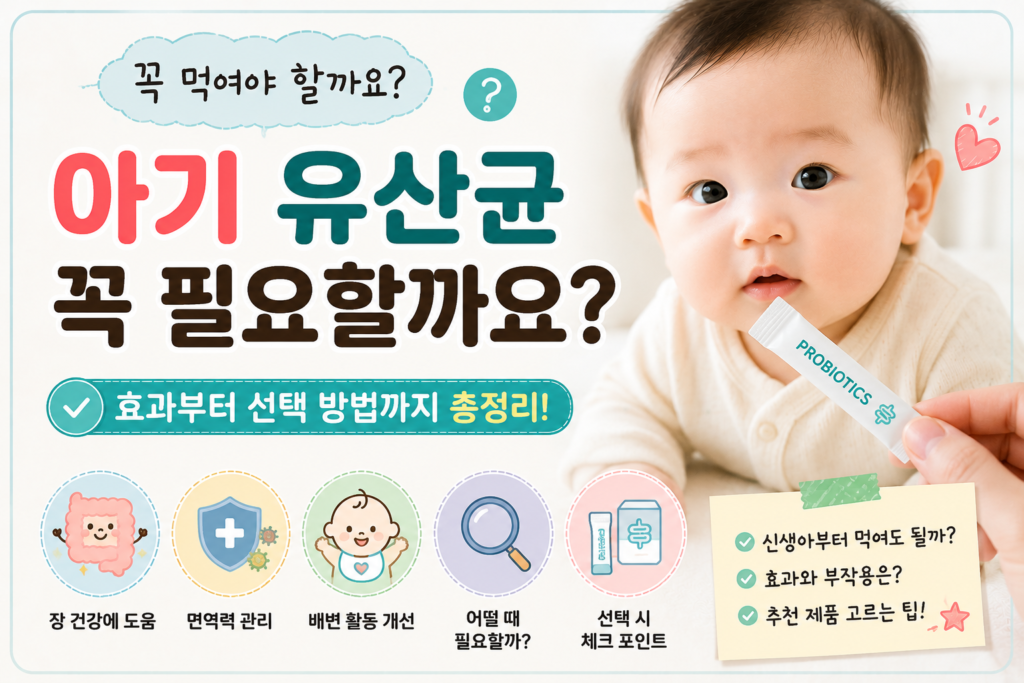 chatgpt image 2026년 7월 8일 오후 11 04 04